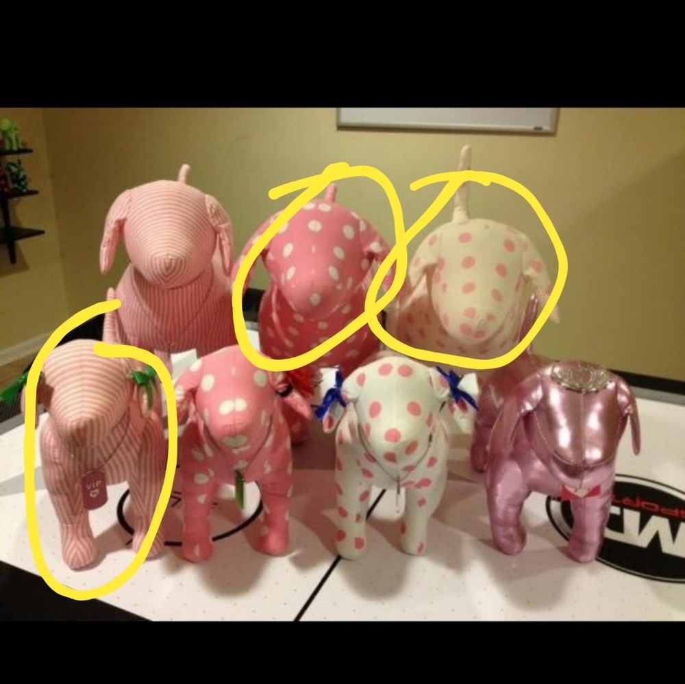 ISO these vs pink dog circled